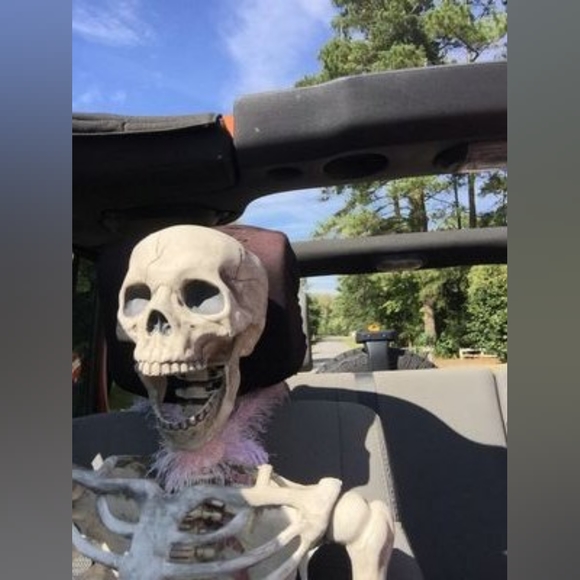 Meet your Posher, Lynne - Picture 1 of 1